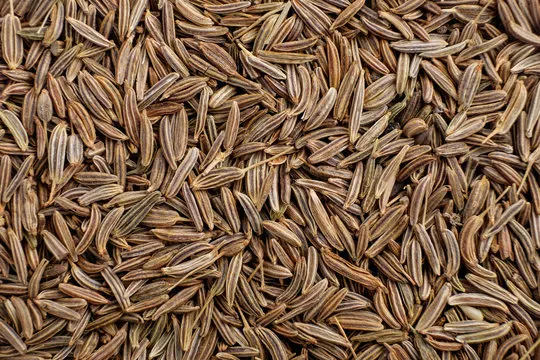 Cumin 100g